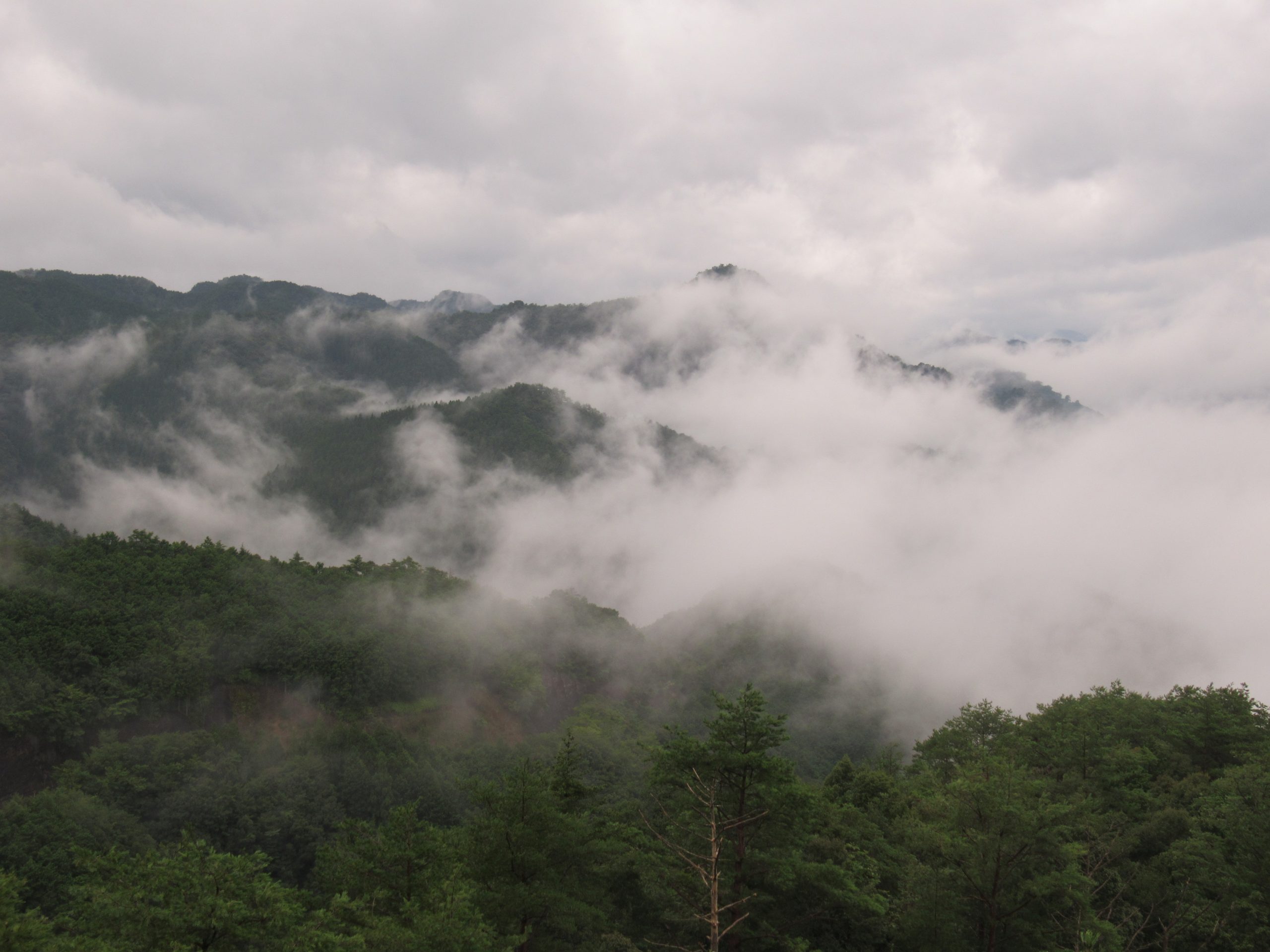 Kumano Kodo