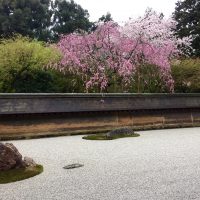 Temple Ryoan-ji 竜安寺