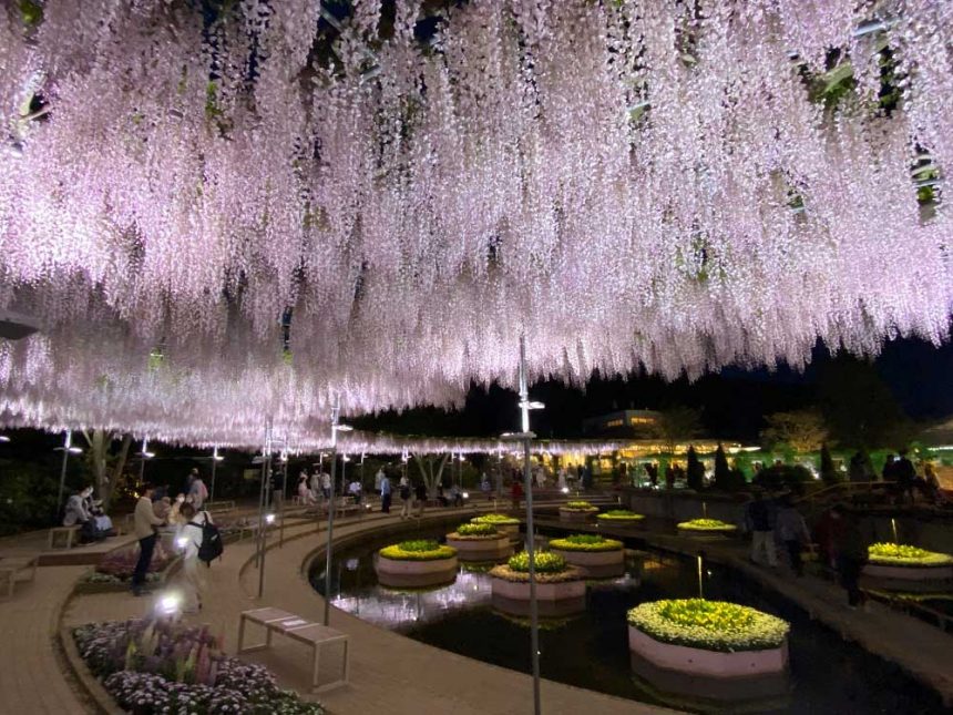 Parc floral d'Ashikaga, Tochigi