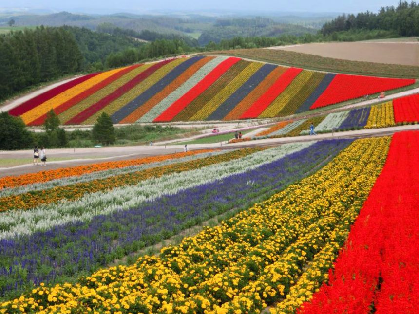 Flower park