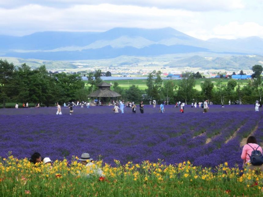 Furano