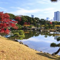 Jardin Hamarikyu