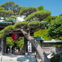 Kamakura Hasedera Temple