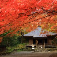 Hiraizumi : Chuson-ji