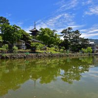 Temple Kofukuji