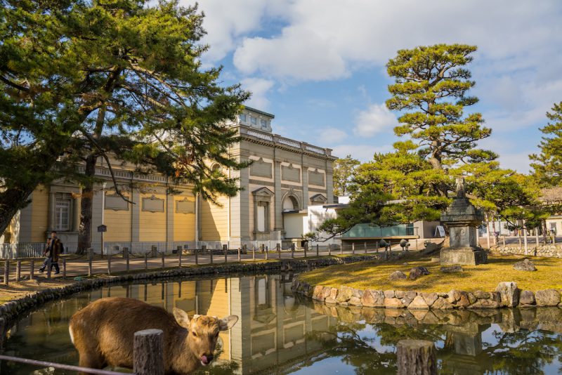 Nara National Museum