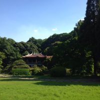 Shinjuku Gyoen