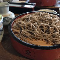 Nouilles traditionnelles japonaises : Soba et Udon