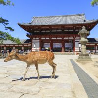 Temple Todai-ji　東大寺