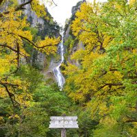 Gorges d’Asahikawa, du Zoo et de Sounkyo