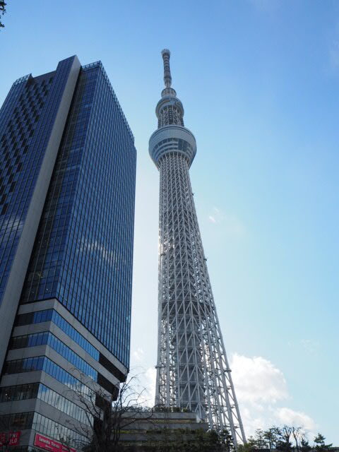 sky tree