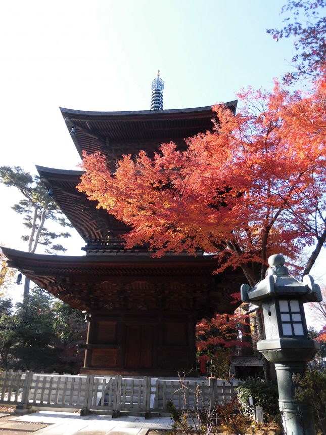 Three storied pagoda at Gotokuji Temple