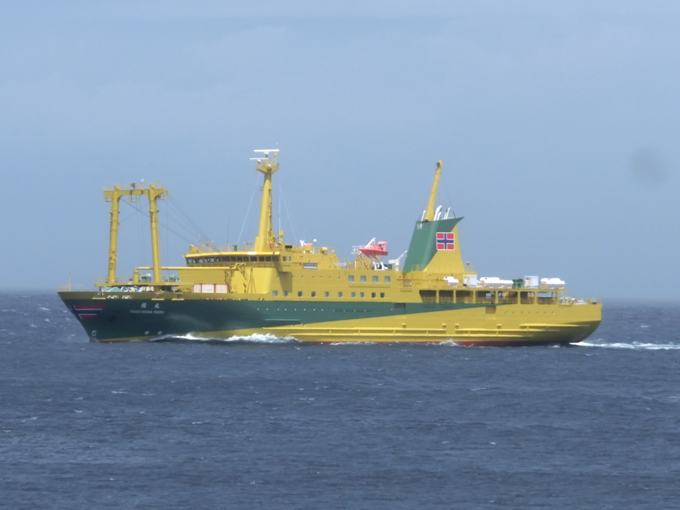 Ferry to Izu Seven Isalands