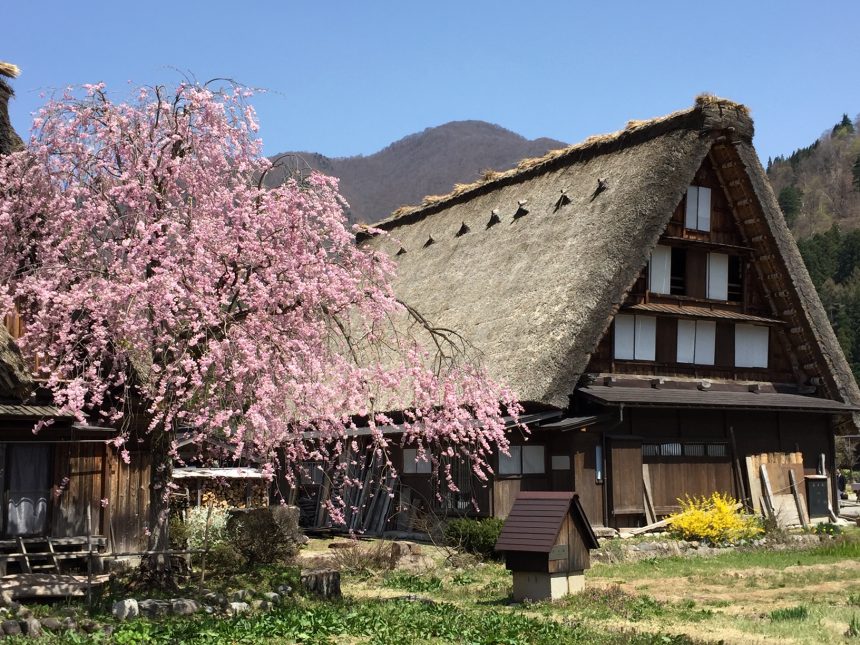 Shirakawago, Gasshozukuri