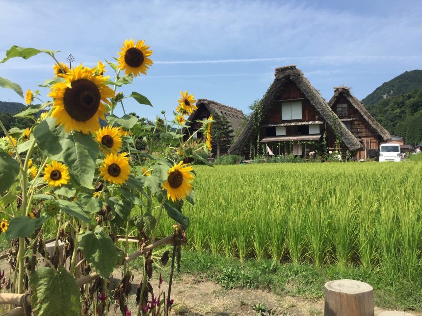 Shirakawago