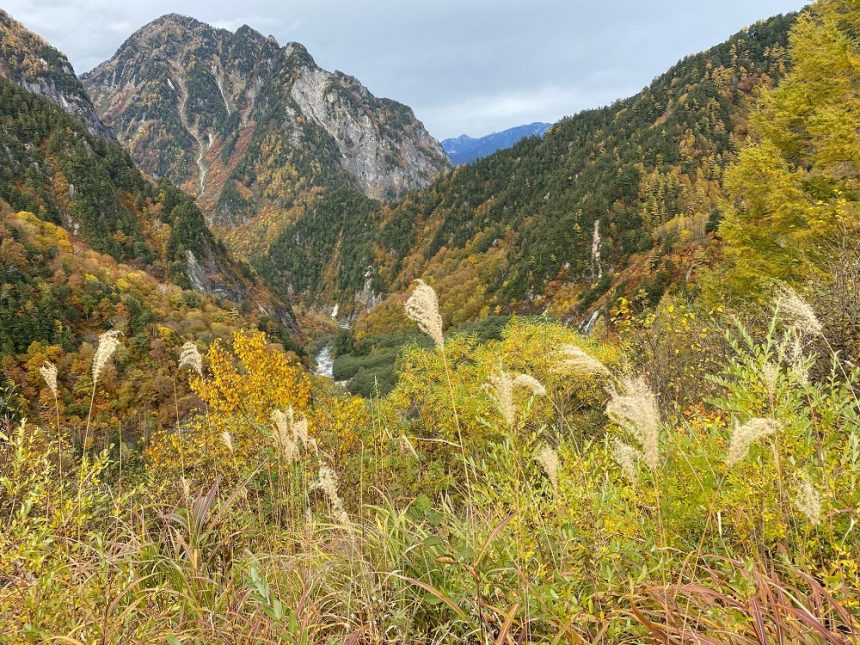 Automne à la route alpine de Tateyama Kurobe