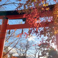 Sanctuaire Uji kami Jinja 宇治上神社