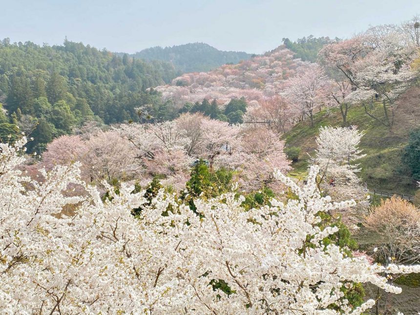 Yoshino, Nara