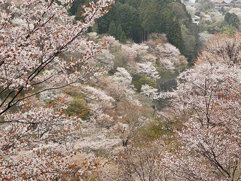 Yoshino, Nara