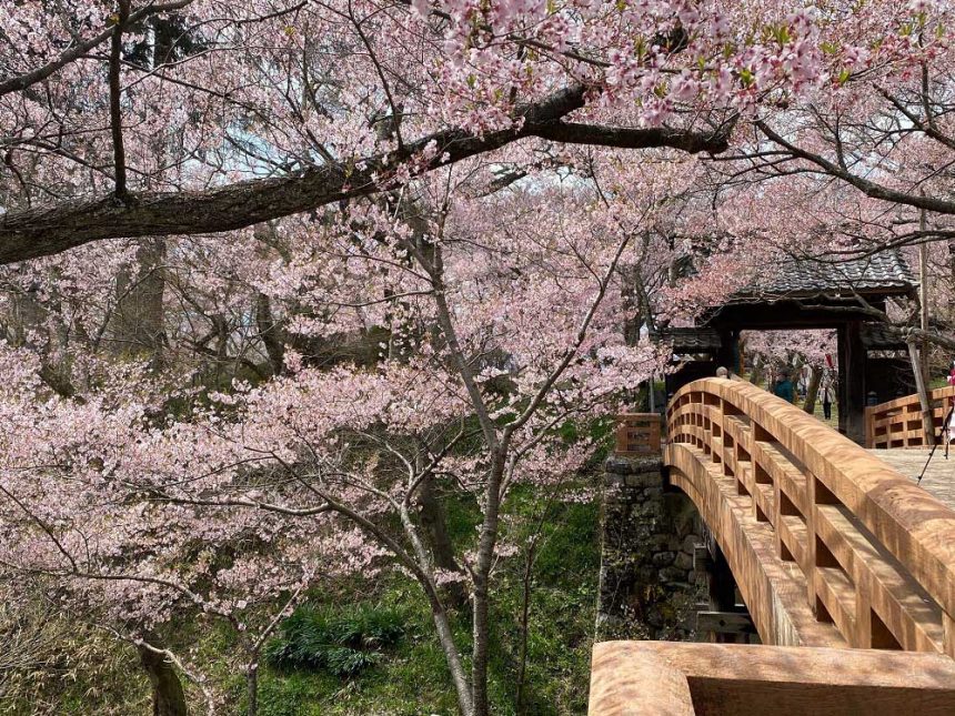 Takatojoshi koen à Nagano