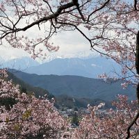 Parc Takatojoshi-koen 高遠城址公園