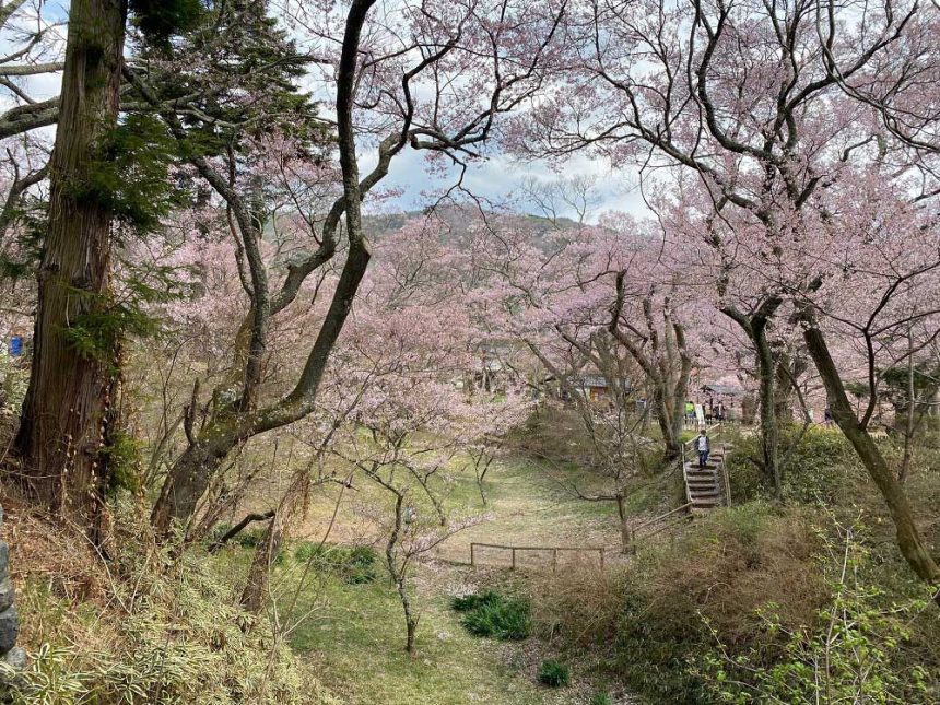 Takatojoshi-koen à Nagano