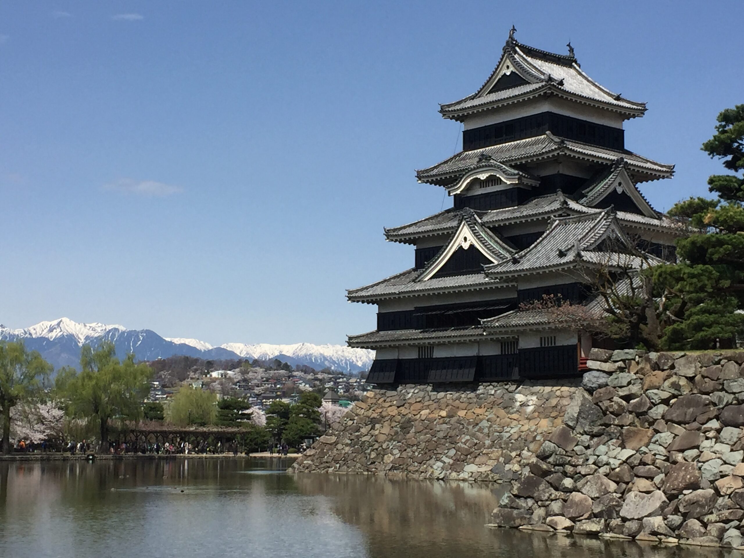 chateau de Matsumoto avec sakura