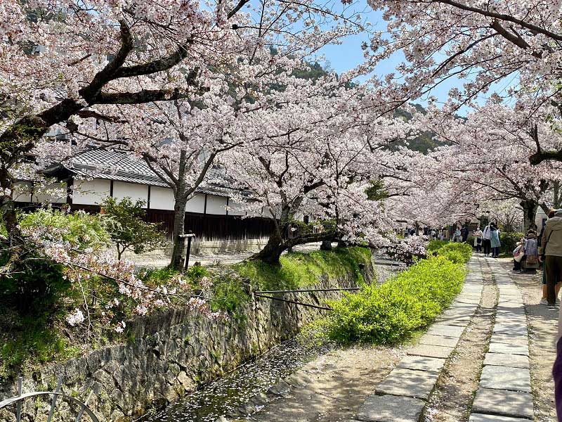 Chemin des philosophes, Kyoto