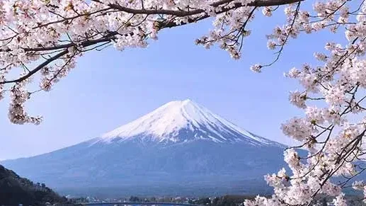 Le Temps des Cerisiers au Japon 2026 en 14 jours